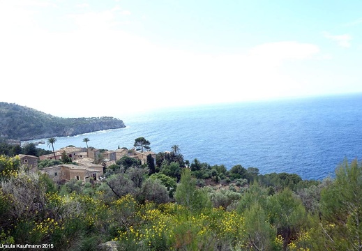  Mallorca - Mai 2015 (2)