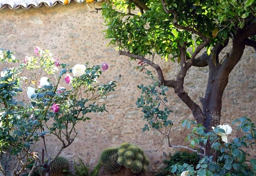  Mallorca - Mai 2015 (2)
