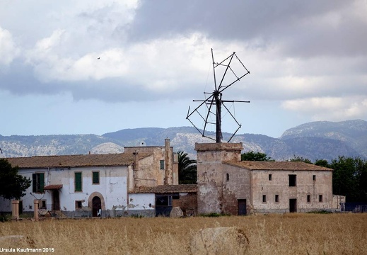  Mallorca - Mai 2015 (2)