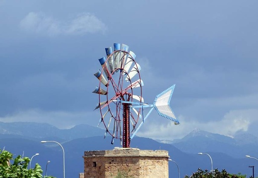  Mallorca - Mai 2015 (2)
