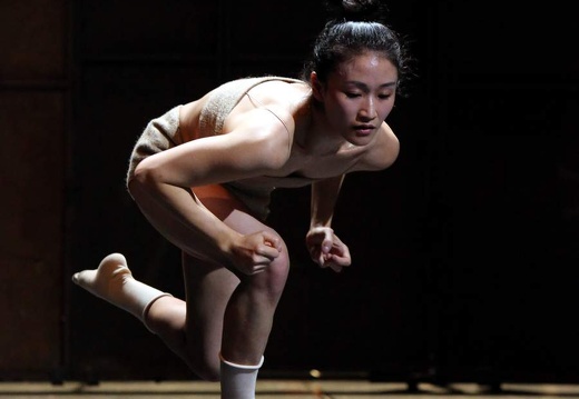 Tanztheater Wuppertal Pina Bausch - Neue Stücke 2015