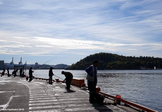 Norwegen - Oslo - Bergen | September-Oktober 2015