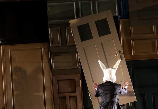 Luis Fernando Bongiovanni - Alice in Wonderland