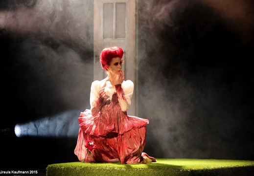 Luis Fernando Bongiovanni - Alice in Wonderland