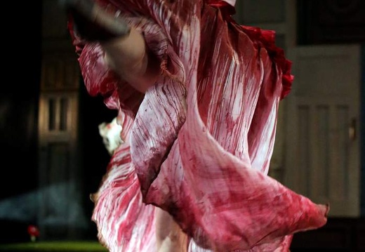 Luis Fernando Bongiovanni - Alice in Wonderland