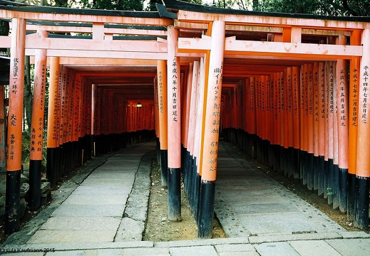Japan - Kyoto, Februar 2006