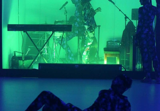 Arena Arctica