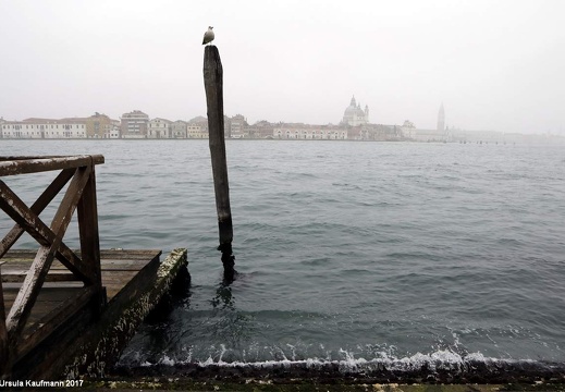 Venedig | Venezia 22.-24.02.2017