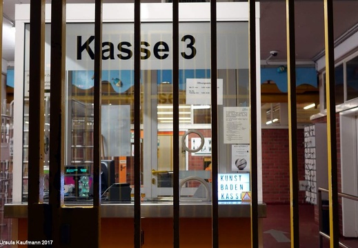 Kunstbaden im Grugabad Essen, 02.06.2017 | Chr.: Jelena Ivanovic und Folkwang Kammer Orchester