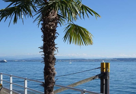 Bodensee | Bregenz, Lindau, Meersburg,Überlingen, Juli-August 2017