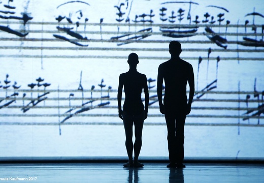 Choreografien von David Dawson, Uwe Scholz, Bridget Breiner und Jiri Kylian | 24.11.2017 | Musiktheater im Revier | Gelsenkirchen