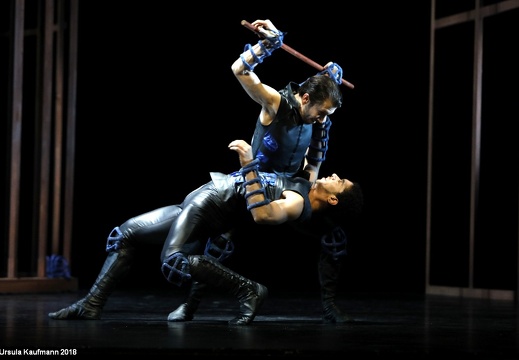 Bridget Breiner | Romeo und Julia | Musiktheater im Revier, Gelsenkirchen | 16.02.2018