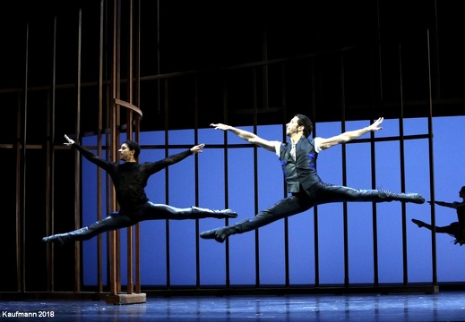 Bridget Breiner | Romeo und Julia | Musiktheater im Revier, Gelsenkirchen | 16.02.2018