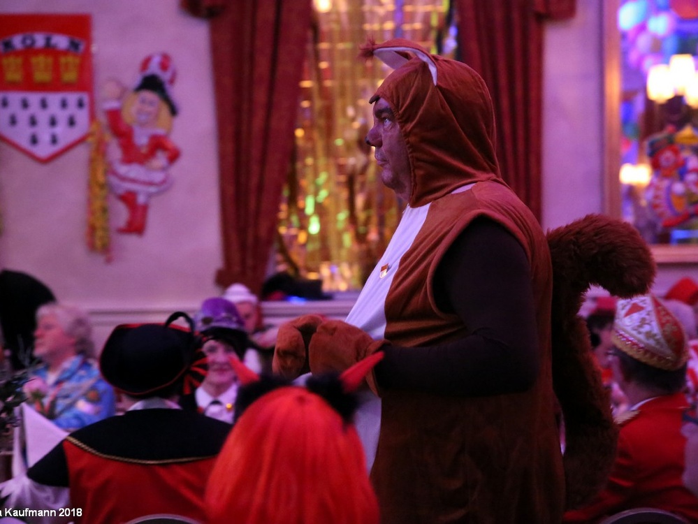 Kölner Dreigestirn | Karneval | 03.02.2018 | Prunksitzung in der Wolkenburg Köln