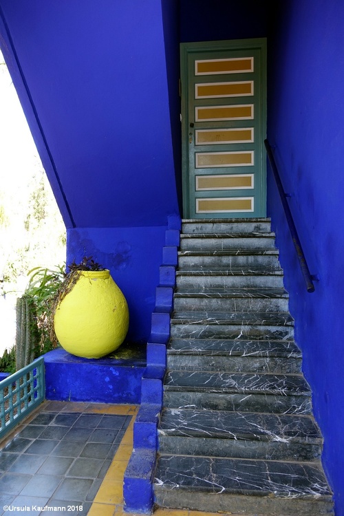 DSC00217.jpg
