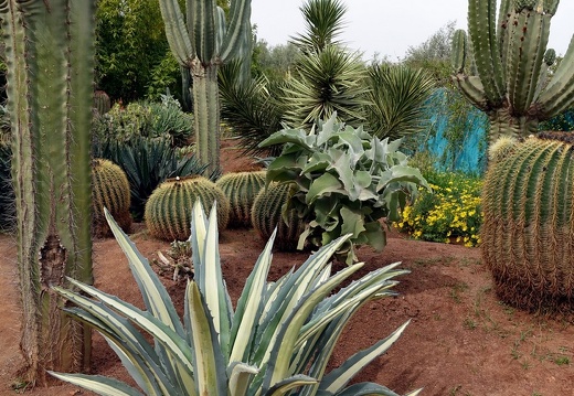 Anima-Garten von Andre Heller | Marrakesch | Marokko | März 2018
