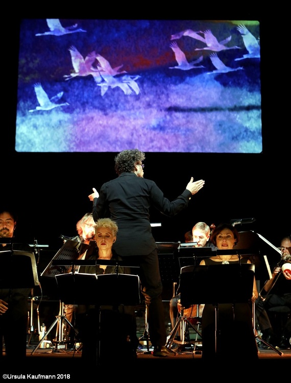 Operninstallation von Elliott Sharp, 04.09.2018, Foto Ursula Kaufmann _33A5084.jpg