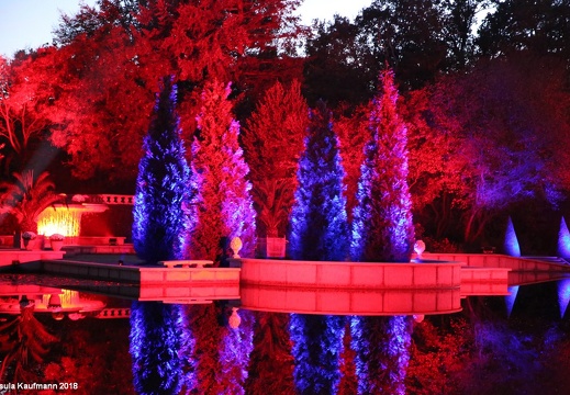 Herbst- und Lichtzauber | Kasteeltuinen | Arcen | Niederlande | 21.10.2018