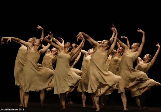 Pina Bausch | Das Frühlingsopfer | Tanztheater Wuppertal Pina Bausch | 31.10.2018