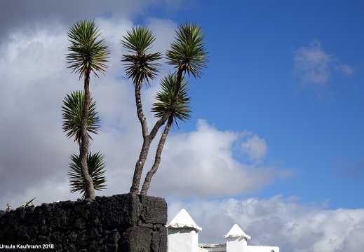 Lanzarote | Kanarische Insel | November 2018