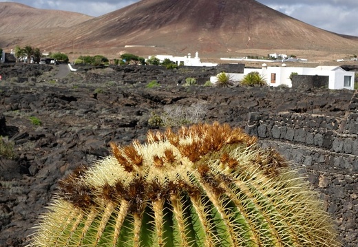 Lanzarote | Kanarische Insel | November 2018