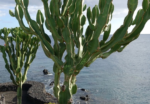 Lanzarote | Kanarische Insel | November 2018