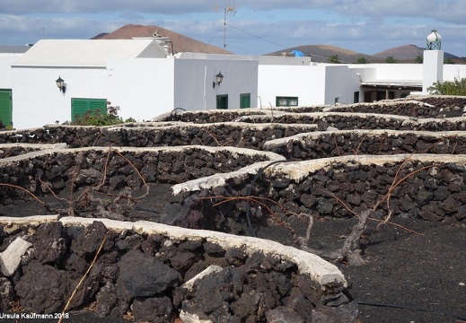 Lanzarote | Kanarische Insel | November 2018
