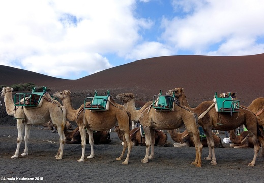 Lanzarote | Kanarische Insel | November 2018