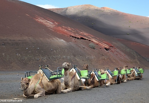 Lanzarote | Kanarische Insel | November 2018