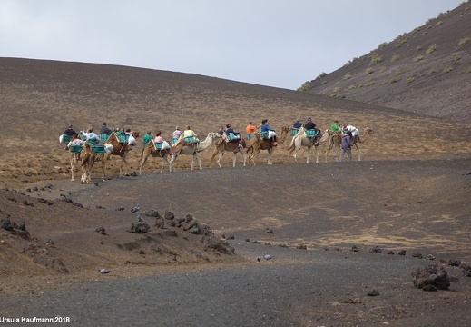 Lanzarote | Kanarische Insel | November 2018