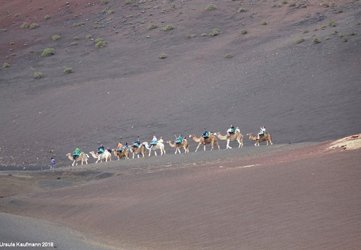 Lanzarote | Kanarische Insel | November 2018