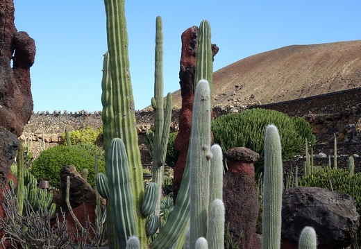 Lanzarote | Kanarische Insel | November 2018