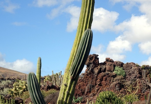 Lanzarote | Kanarische Insel | November 2018