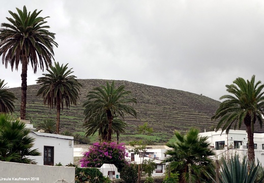 Lanzarote | Kanarische Insel | November 2018