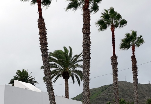Lanzarote | Kanarische Insel | November 2018