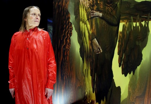 Susanne Kennedy und Markus Selg | Coming Society | Volksbühne Berlin | 15.01.2019 | Premiere