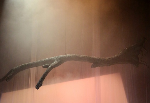 Gregor Zöllig | Winterreise | Uraufführung 04.05.2019 | Staatstheater Braunschweig