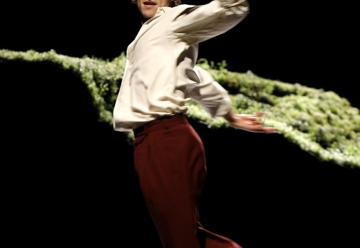 Wiesenland - Ein Stück von Pina Bausch | Tanztheater Wuppertal | 15.11.2019