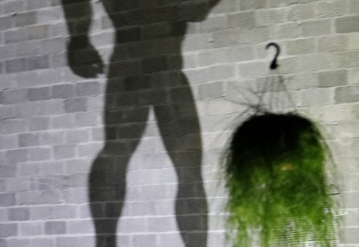 Hartmannmüller | Die Schöpfung | Simon Hartmann und Daniel Ernesto Müller | Premiere 20.11.2019 | tanzhaus nrw