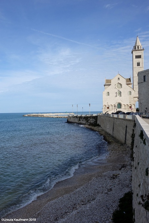 DSC08287.jpg