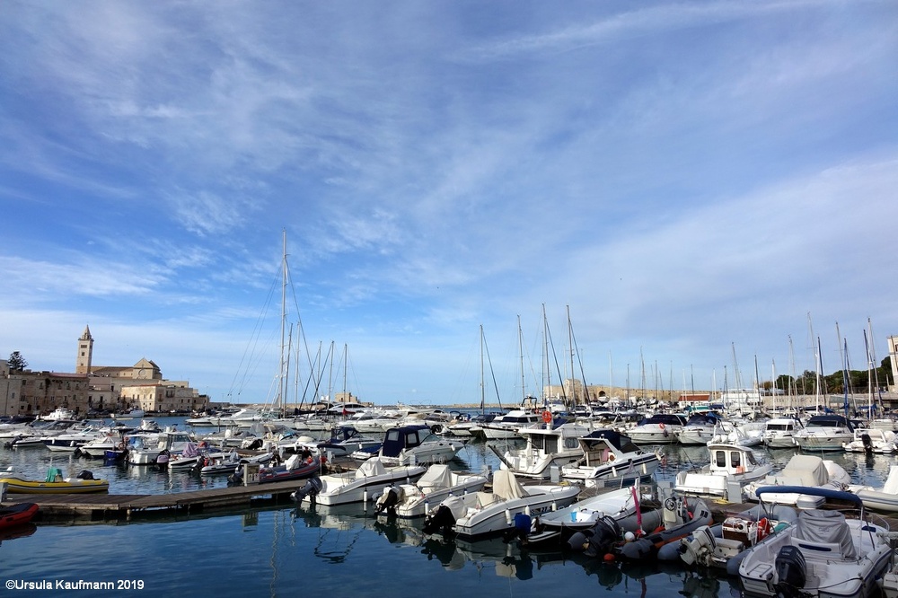 DSC08334.jpg