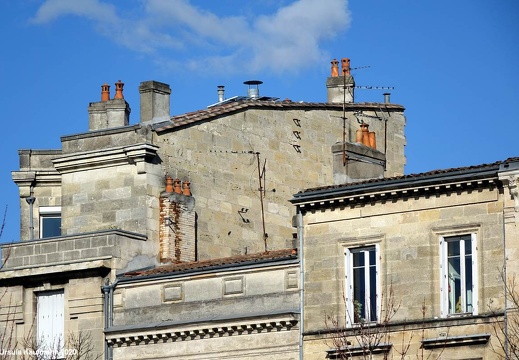 Bordeaux - eigene Pina Bausch-Ausstellung | Goethe-Institut Bordeaux | 05.02.- 07.05.2020