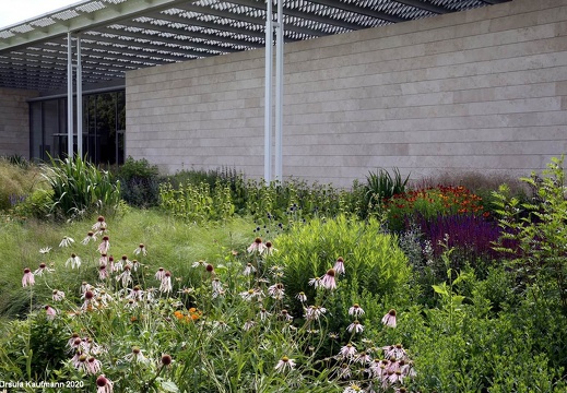 Museum Voorlinden,Wassenaar,Katwijk und Leiden, Juli 2020