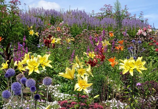 Landesgartenschau 2020 Kamp-Linfort und Gartenfotos,Juli 2020