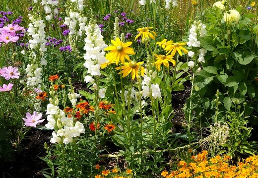 Landesgartenschau 2020 Kamp-Linfort und Gartenfotos,Juli 2020