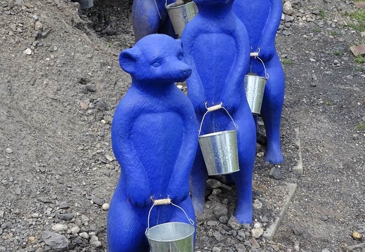 Landesgartenschau 2020 Kamp-Linfort und Gartenfotos,Juli 2020