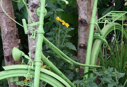 Landesgartenschau 2020 Kamp-Linfort und Gartenfotos,Juli 2020