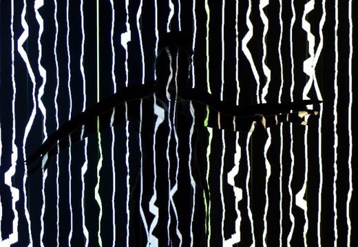 Henrietta Horn | CONTRAPUNCTUS I° | Video + Licht Reinhard Hubert | Fabrik Heeder, Krefeld, 09.10.2020