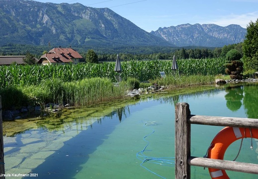 Salzburg | Fuschlsee | Gaisberg | Juli 2021