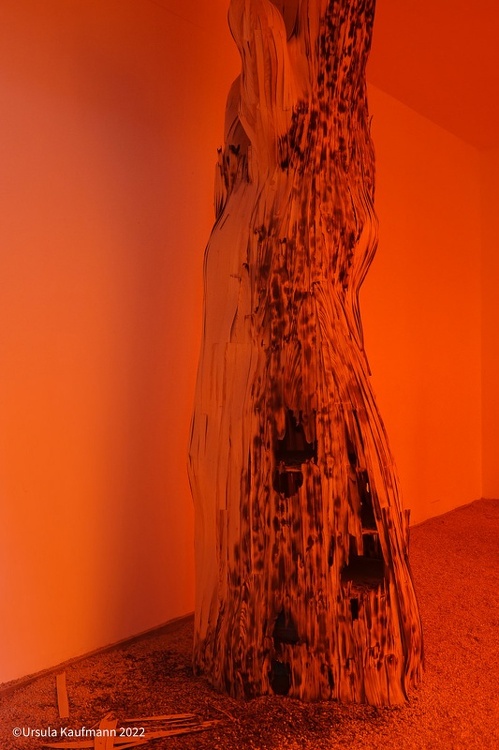 biennale-venedig_anselm-kiefer00011.jpg